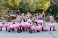 Schoolplein Festival A345
